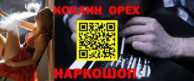сатива Гай