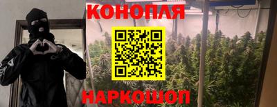 герыч Гатчина