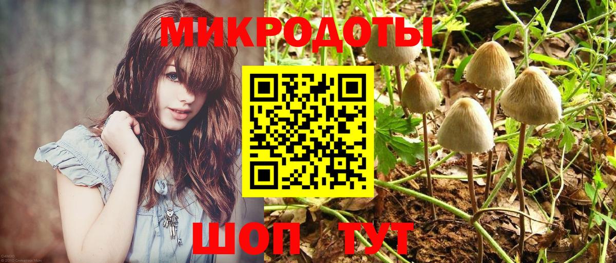 Галлюциногенные грибы ЛСД  где продают наркотики  Крымск  Вход с VPN 