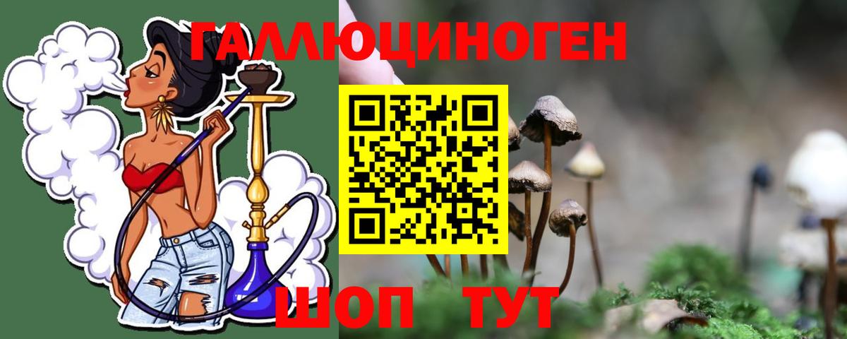 Псилоцибиновые грибы мицелий Крымск